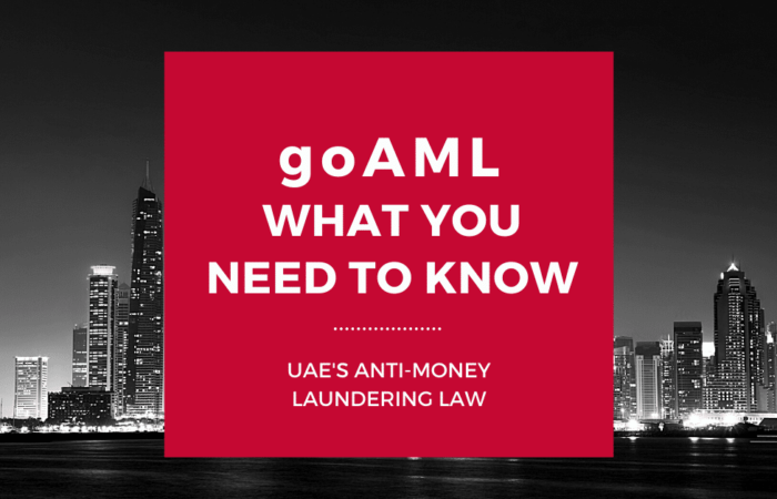 goAML Registration. What next after registering on goAML? goAML Guide