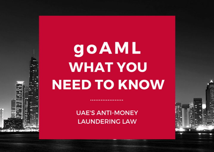 goAML Registration. What next after registering on goAML? goAML Guide