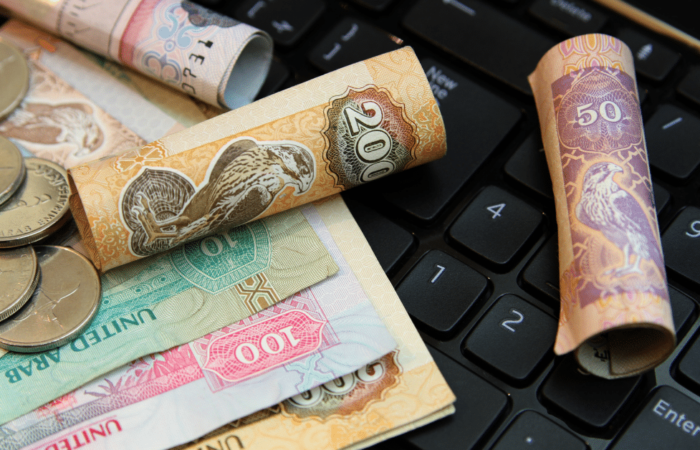 AML Compliance | goAML in UAE