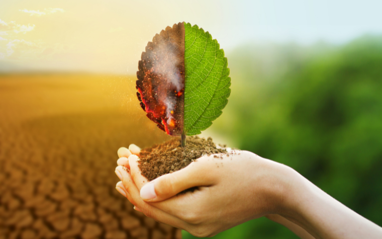 Is Your Business Ready for UAE’s Latest Climate Reporting Mandate? Is Your Business Ready for UAE’s Latest Climate Reporting Mandate?